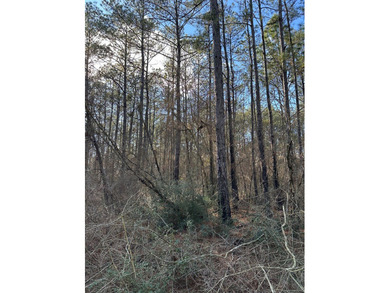 Beautiful secluded property around 8 miles Southeast of - photo 9