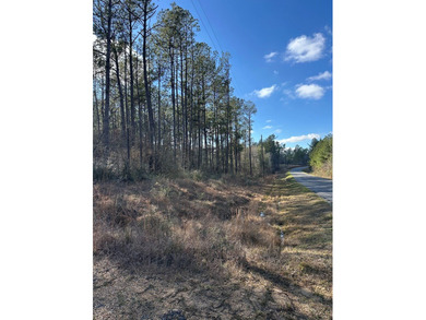 Beautiful secluded property around 8 miles Southeast of - photo 10