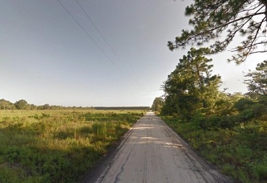 Suwannee River Acreage For Sale in Live Oak Florida