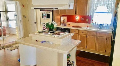 Welcome home to this beautiful double-wide 2-bedroom, 2-bath - photo 4