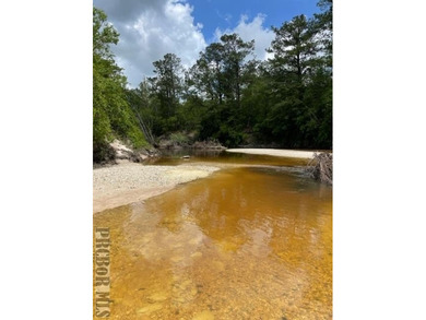 (private lake, pond, coastal) Acreage For Sale in Poplarville Mississippi