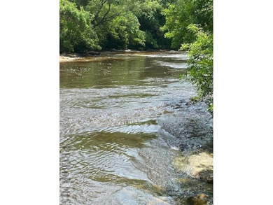 It's that time of year, *Lets Go To The River, Yall*. This is - photo 2