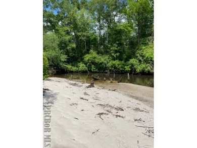 It's that time of year, *Lets Go To The River, Yall*. This is - photo 5