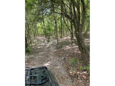 It's that time of year, *Lets Go To The River, Yall*. This is - photo 6