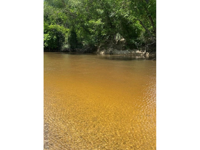 It's that time of year, *Lets Go To The River, Yall*. This is - photo 7