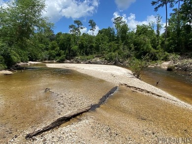 It's that time of year, *Lets Go To The River, Yall*. This is - photo 8