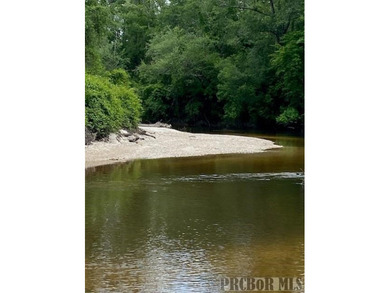 It's that time of year, *Lets Go To The River, Yall*. This is - photo 9