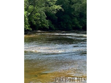 It's that time of year, *Lets Go To The River, Yall*. This is - photo 10