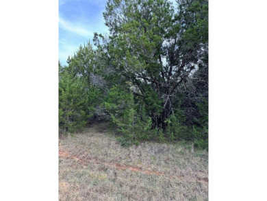 Lake Whitney Lot For Sale in Whitney Texas