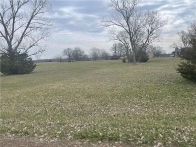 Lake Lot For Sale in Gallatin, Missouri