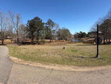 This 4 bedroom 2 bath home will be situated on a must see 1.36 - photo 4