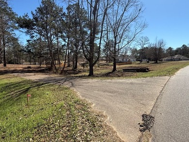 This 4 bedroom 2 bath home will be situated on a must see 1.36 - photo 5