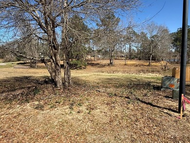 This 4 bedroom 2 bath home will be situated on a must see 1.36 - photo 6