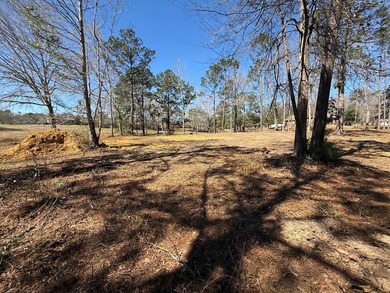 This 4 bedroom 2 bath home will be situated on a must see 1.36 - photo 8