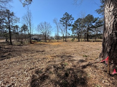 This 4 bedroom 2 bath home will be situated on a must see 1.36 - photo 9