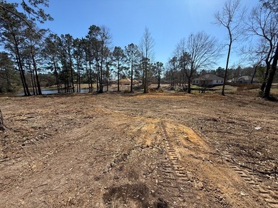 This 4 bedroom 2 bath home will be situated on a must see 1.36 - photo 10