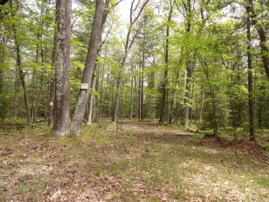 Lake St Helen Acreage For Sale in Saint Helen Michigan
