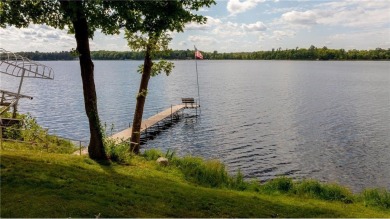 Lake Home For Sale in Farm Island Twp, Minnesota
