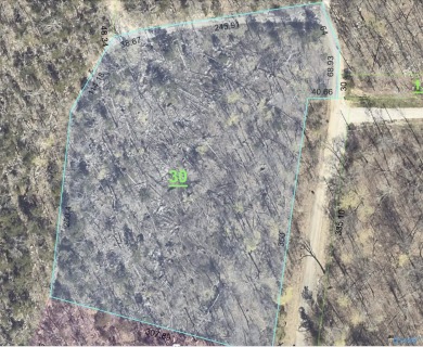 Lake Acreage For Sale in Gurley, Alabama