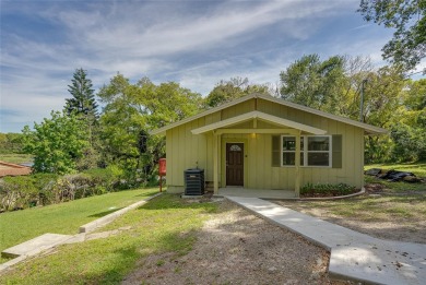 Lake Franklin  Home For Sale in Mount Dora Florida