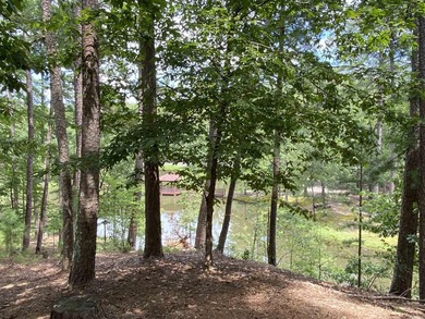 You will love the layout of this Harbor South home at Mountain - photo 44