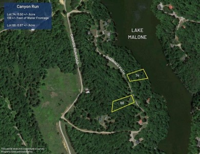 Two building lots located on Lake Malone, Kentucky. Hard to find - Lake Lot For Sale in Lewisburg, Kentucky