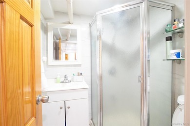Prime Flushing detached single-family home located near Northern - photo 15
