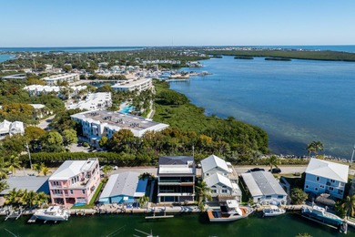 A striking new construction waterfront residence, offering a