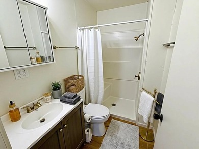 RARE TURNKEY ROCK RIVER COTTAGE! Fully renovated 3 bedroom, 1 - photo 4