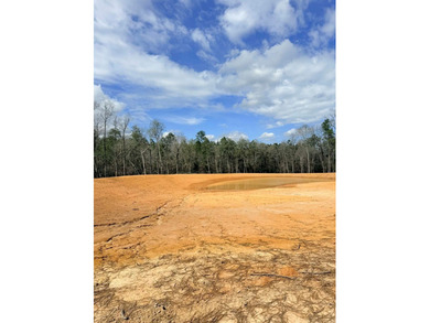 PERFECT location for your dream house. Secluded partially wooded - photo 3