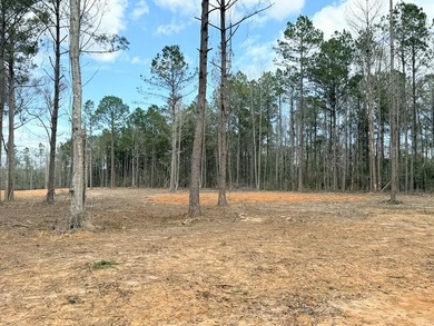 PERFECT location for your dream house. Secluded partially wooded - photo 4