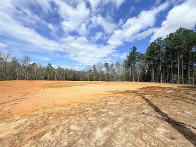 PERFECT location for your dream house. Secluded partially wooded - photo 6