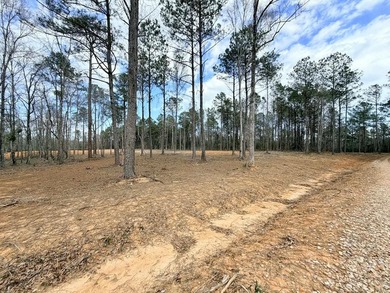 PERFECT location for your dream house. Secluded partially wooded - photo 7
