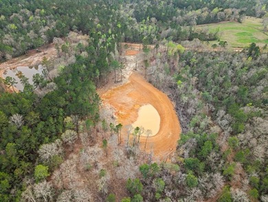 PERFECT location for your dream house. Secluded partially wooded - photo 10
