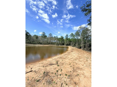 Perfect location for your dream house. Secluded partially wooded - photo 2