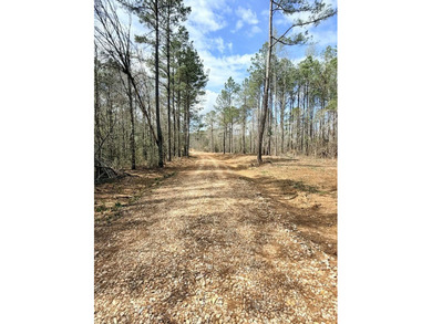 Perfect location for your dream house. Secluded partially wooded - photo 3