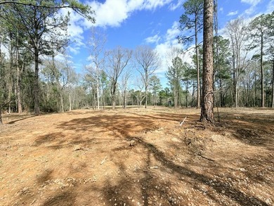 Perfect location for your dream house. Secluded partially wooded - photo 4