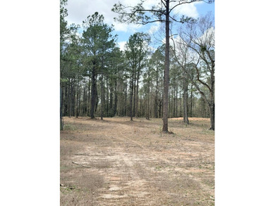 Perfect location for your dream house. Secluded partially wooded - photo 6