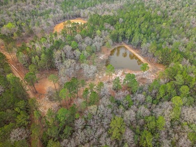 Perfect location for your dream house. Secluded partially wooded - photo 8