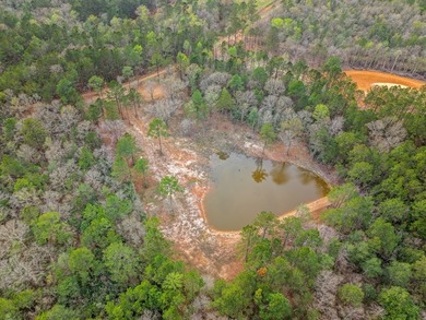 Perfect location for your dream house. Secluded partially wooded - photo 9