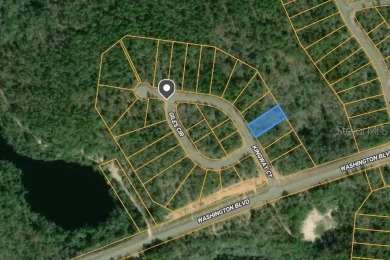 (private lake, pond, creek) Lot For Sale in Chipley Florida