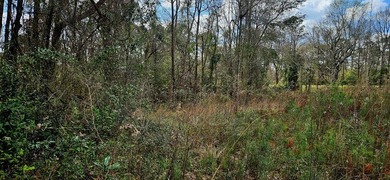 Prime Commercial or Residential Opportunity in Poplarville! This - photo 2