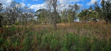 Prime Commercial or Residential Opportunity in Poplarville! This - photo 4