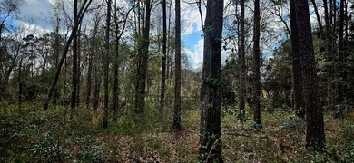 Prime Commercial or Residential Opportunity in Poplarville! This - photo 6