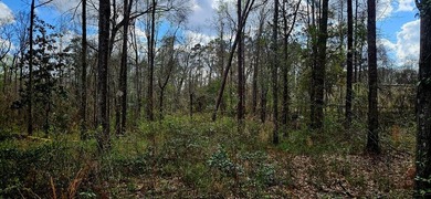 Prime Commercial or Residential Opportunity in Poplarville! This - photo 7