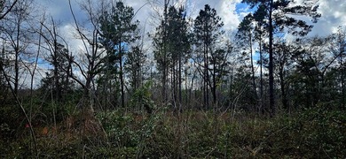 Prime Commercial or Residential Opportunity in Poplarville! This - photo 9
