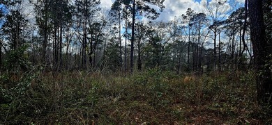 Prime Commercial or Residential Opportunity in Poplarville! This - photo 10