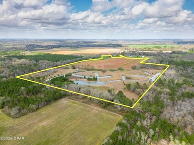 (private lake, pond, coastal) Acreage For Sale in Graceville Florida