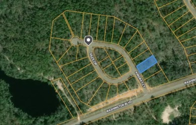 (private lake, pond, creek) Lot For Sale in Chipley Florida