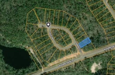 Lake Lot For Sale in Chipley, Florida